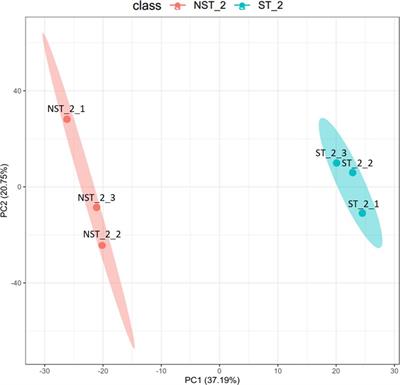 Proteomic and metabolomic revealed the effect of shading treatment on cigar tobacco